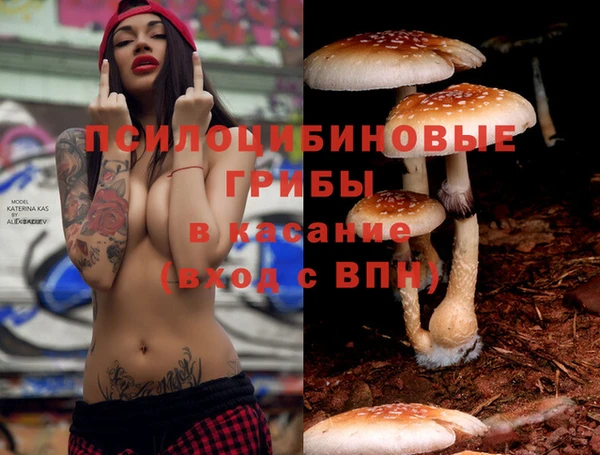 прущие крисы Майский