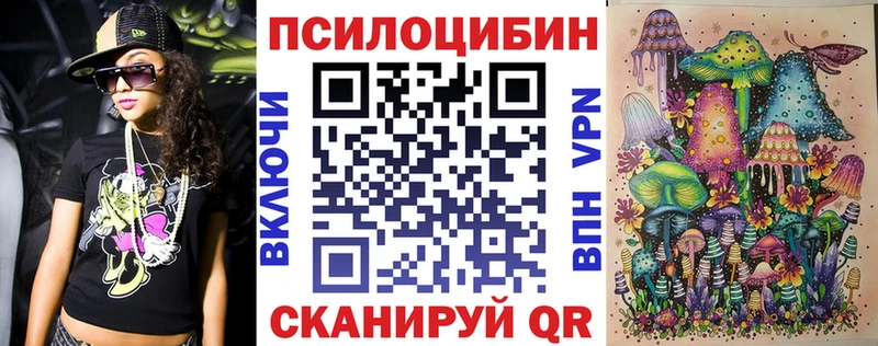 закладки  Жуковка  Галлюциногенные грибы Psilocybine cubensis 